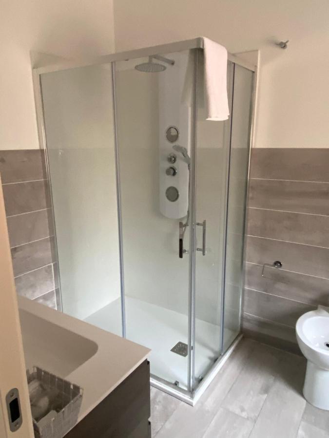 Domus Dotta New