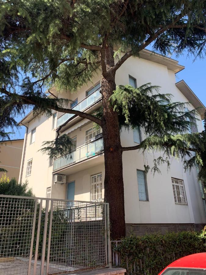 Ghisello Luxury 1 *