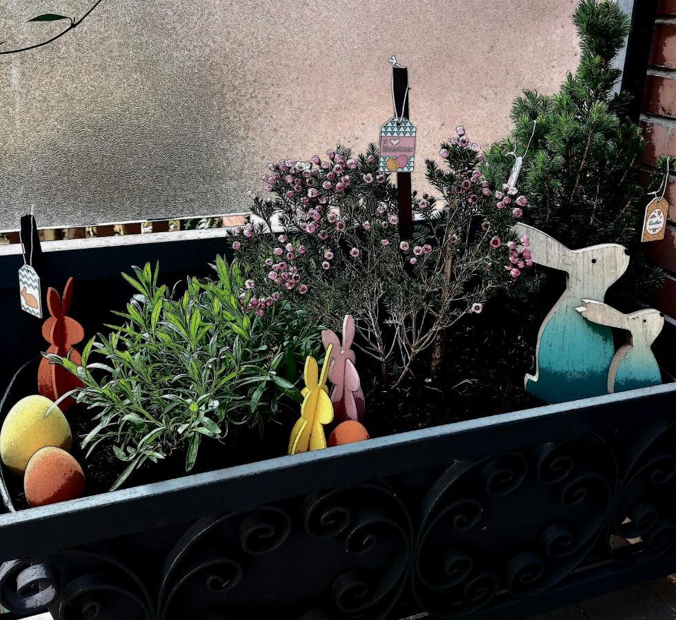 A Casa Di Gemma Bolonha