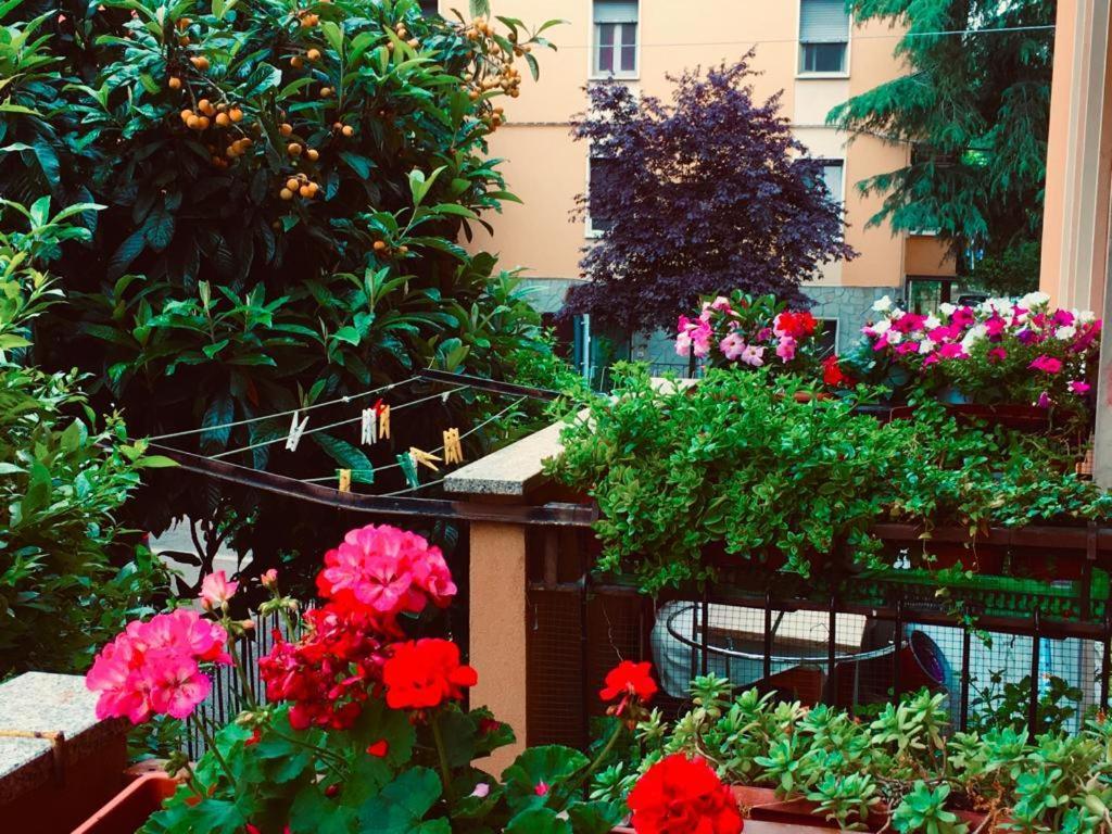 Apartment Casa Bologna