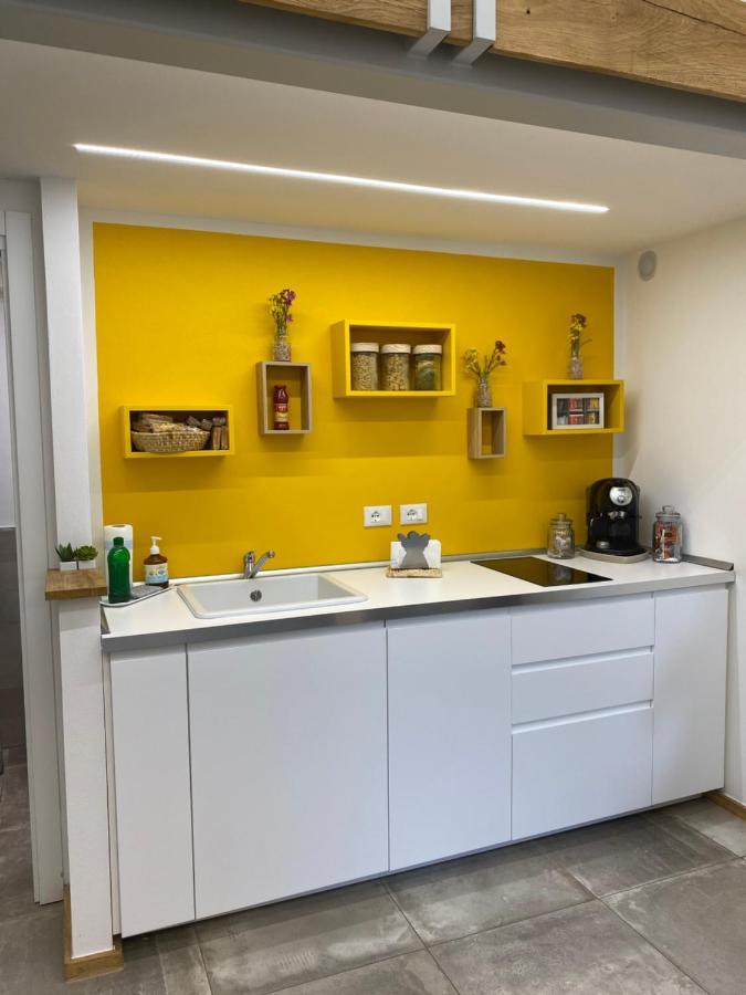 Silvano Cozy Loft * Bologna