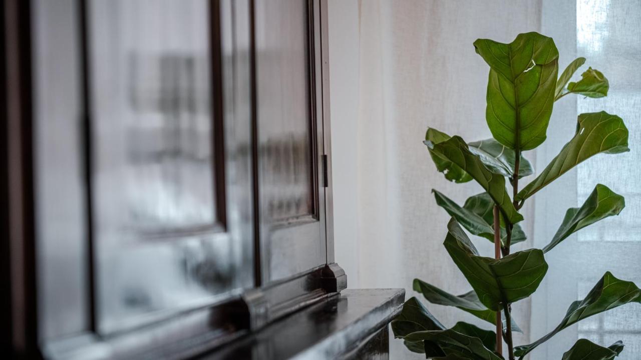 Apartment Scalo109