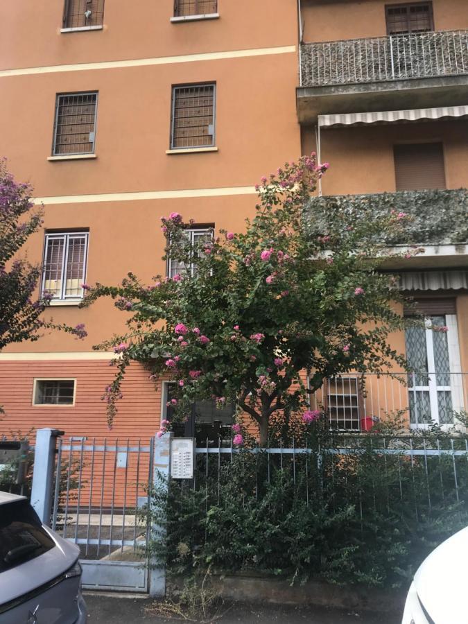 4 Posti Letto In Zona Tranquilla E Ben Servita, Un Matrimoniale E Un Divano Letto Matrimoniale Facebook Massimo Bobo Aquili Apartment Bologna