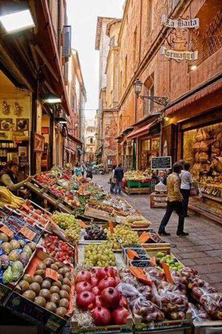 Appartement Al Zigant - Location Bologna