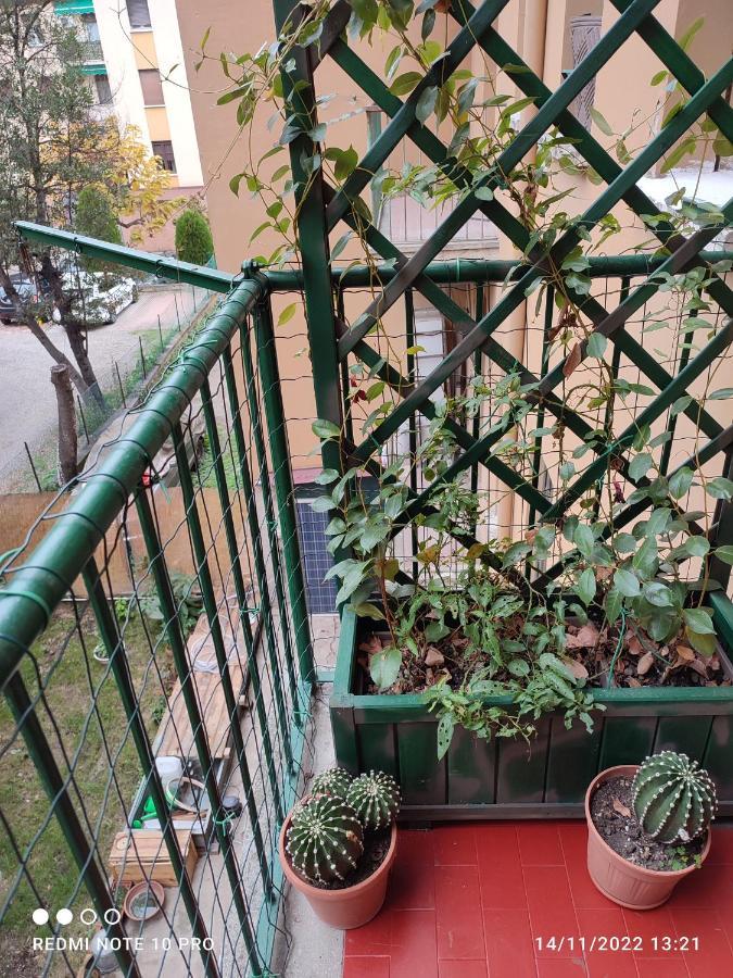 Apartamento Casailaekobe *