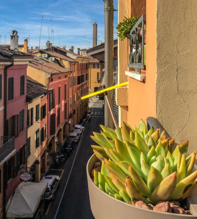 Healthy Flat - Tower Skyline View * Bologna