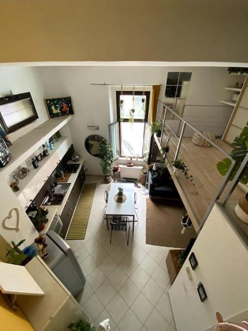 Appartement Loft Intero Stile Jungle *