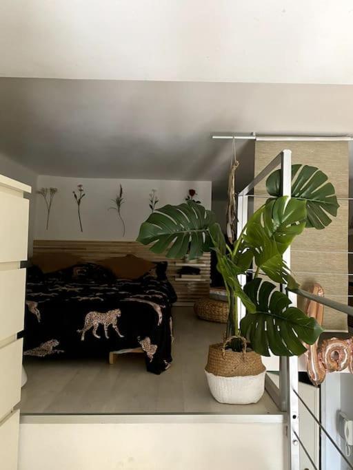Loft Intero Stile Jungle Appartement