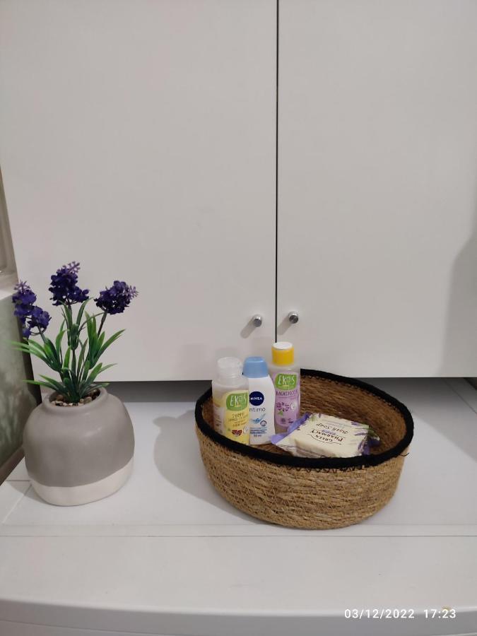 Apartment Bolo *