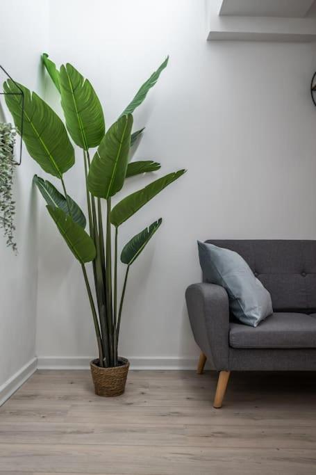 Apartment Ab - Via San Felice 6 Bologna