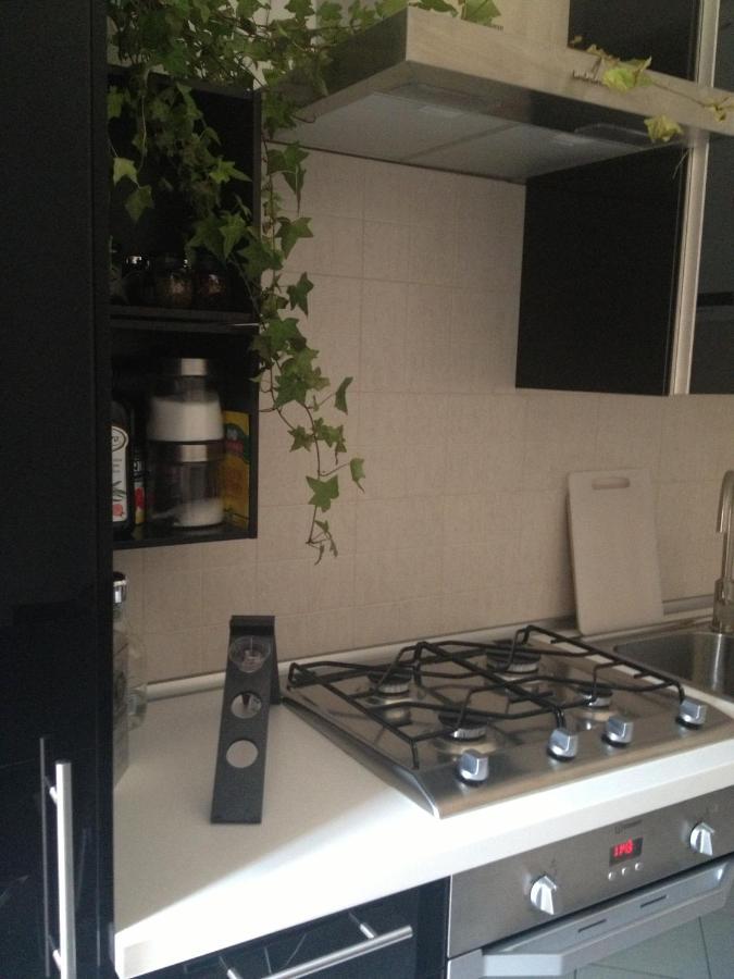 Near Historic Center With Bicycles Apartment *
