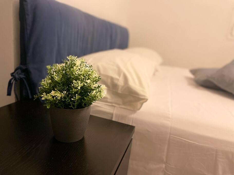 Loft - 1 Min Hospital S.orsola - Free Parking Apartment *