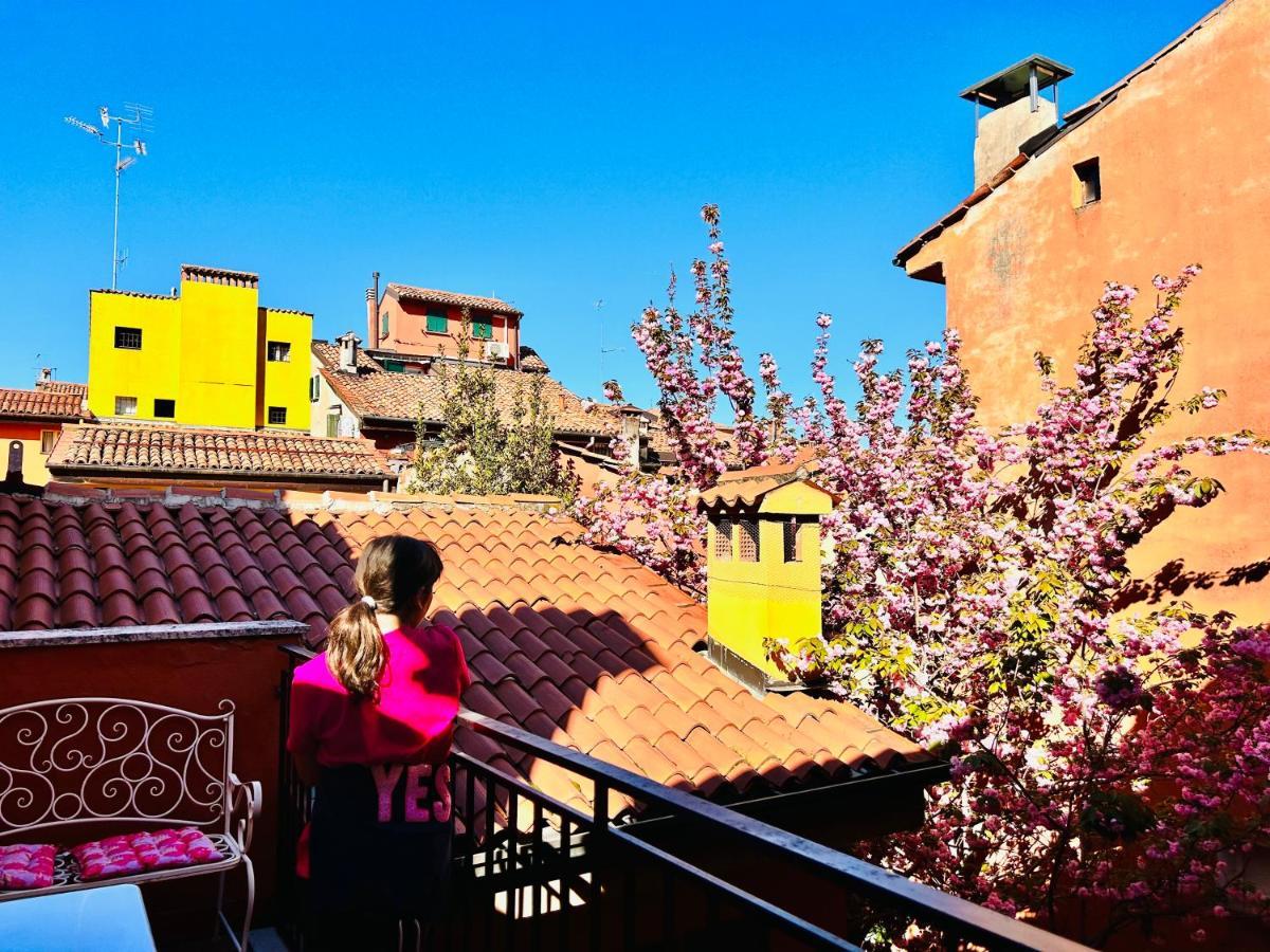 Falcone 22 Bologna