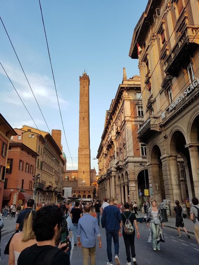 Your Comfort - * Bologna