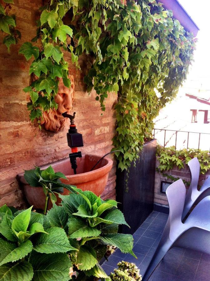 Sui Tetti Di * Bologna