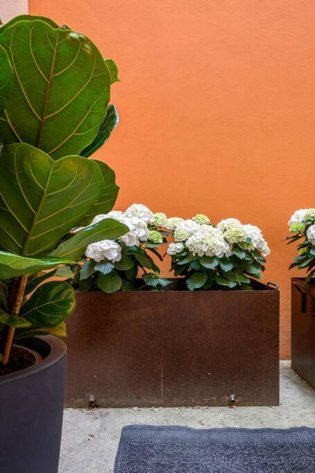 Apartamento Ab - Via Sant'isaia 102 *