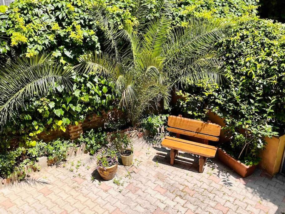 Casa Bonita Bolognina *