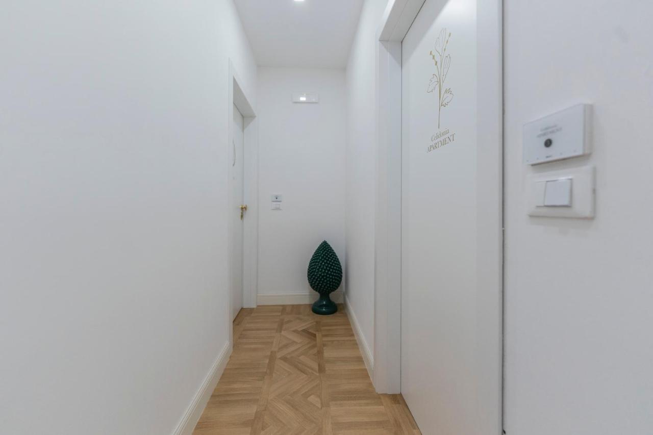 Aldrovandi Luxury And