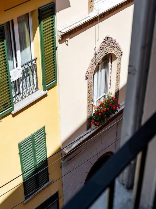 Deliziosa Casa Nel Centro Di Palazzo Storico Zambeccari Apartment *