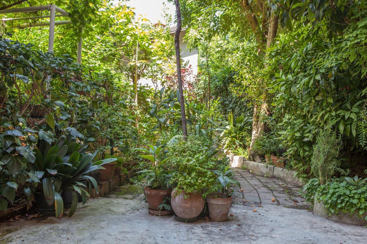 Il Nespolo Holiday home