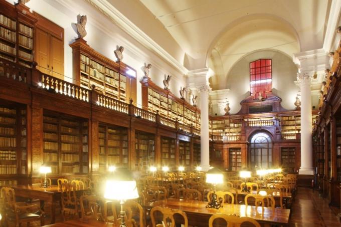 Casa Cielo Universitas * Bologna