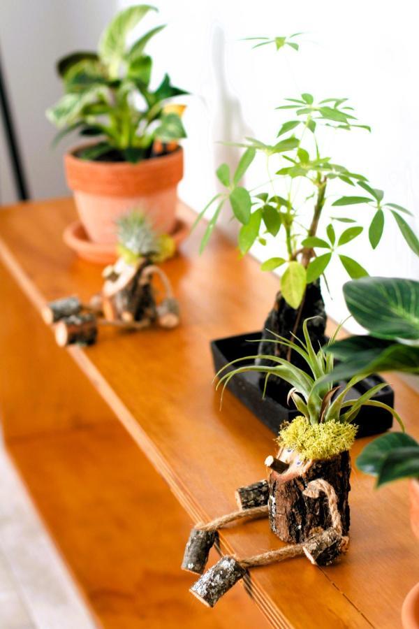 Apartment Eco-bio Bologna