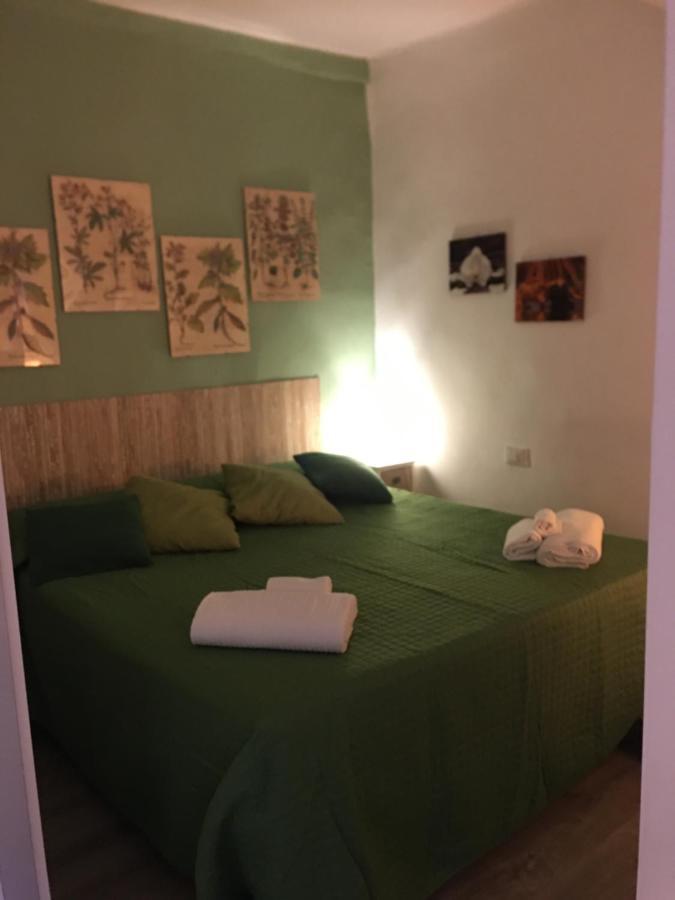 Casa Noah