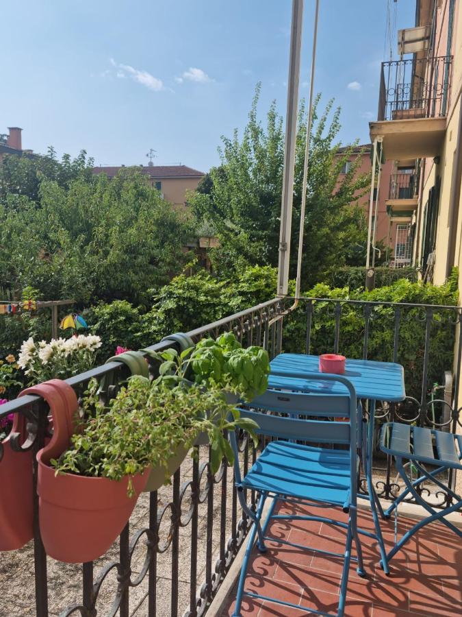 Apartment Alemanni54 -