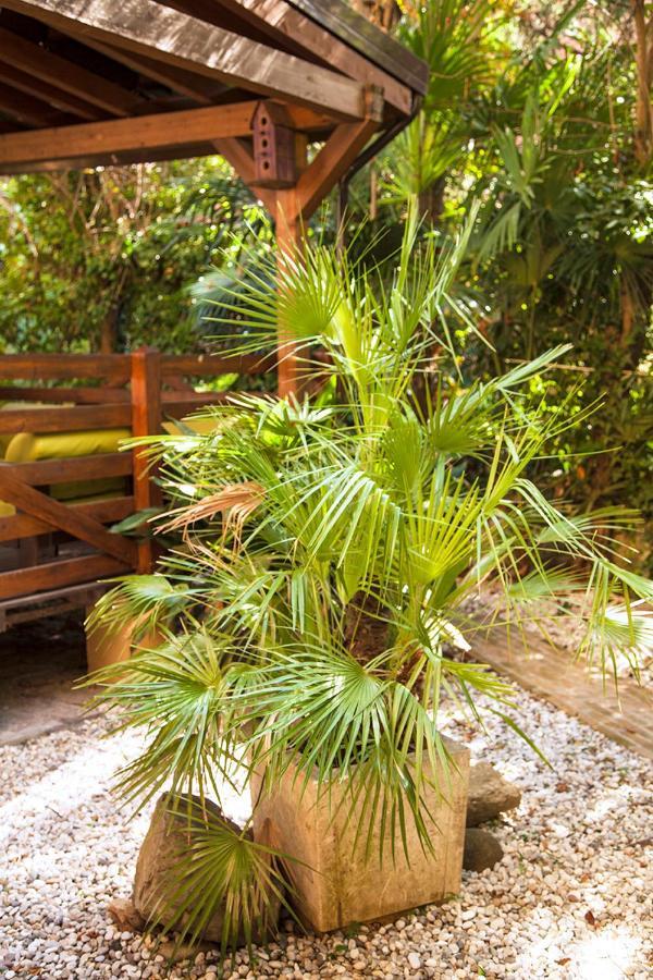 Apartment Urban Jungle