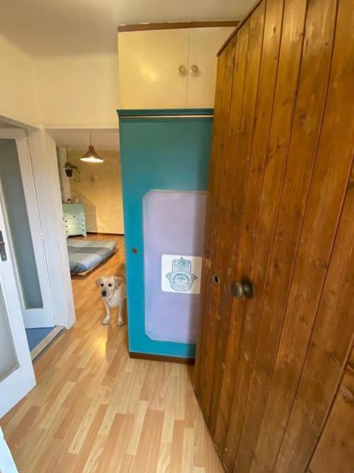 Spazioviola Intimo Boho Style Uno Spazio Magico Per L'energia Che Si Respira In Un Palazzo Della Vecchia Qui Nulla E Perfetto Ma Tutto Racconta Appartement *