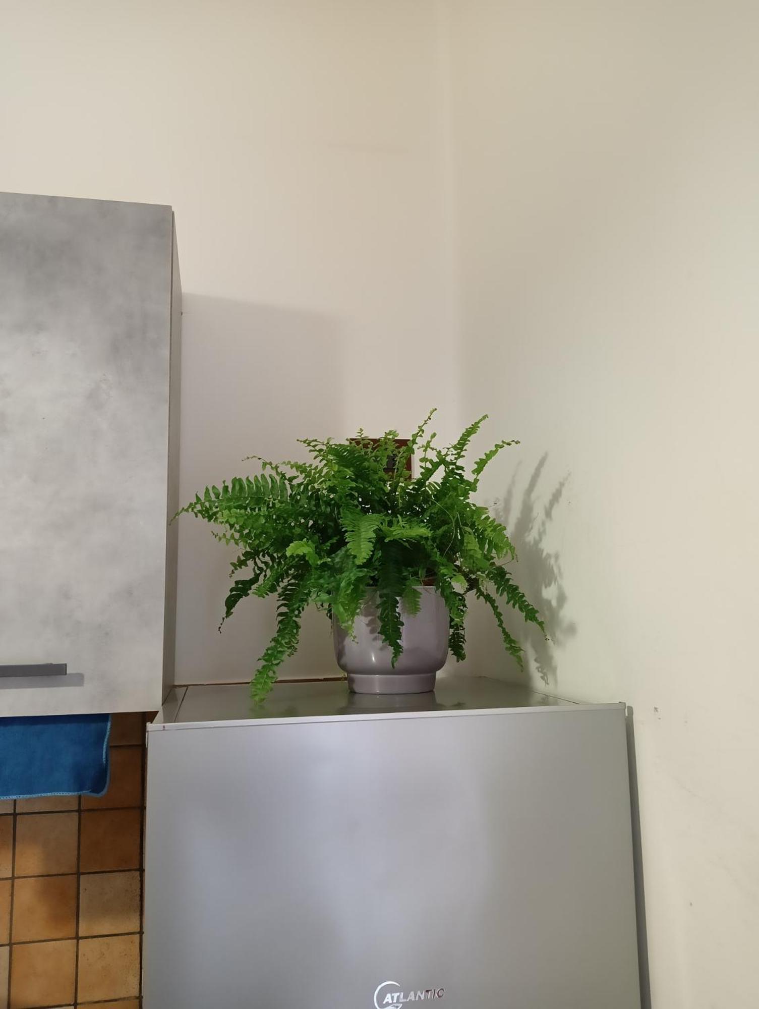 051 Apartment Bologna