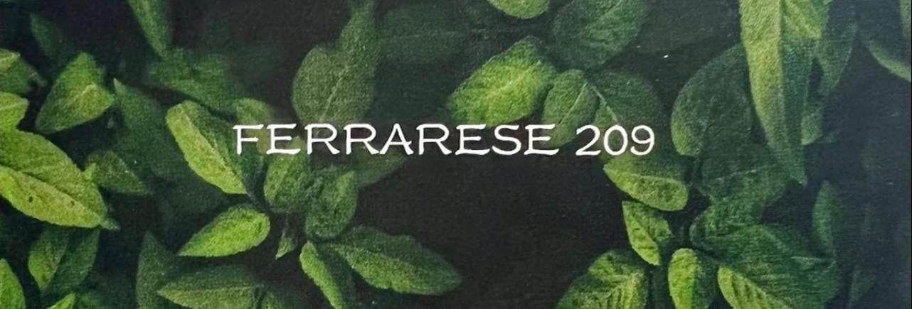 Appartamento Ferrarese209 *