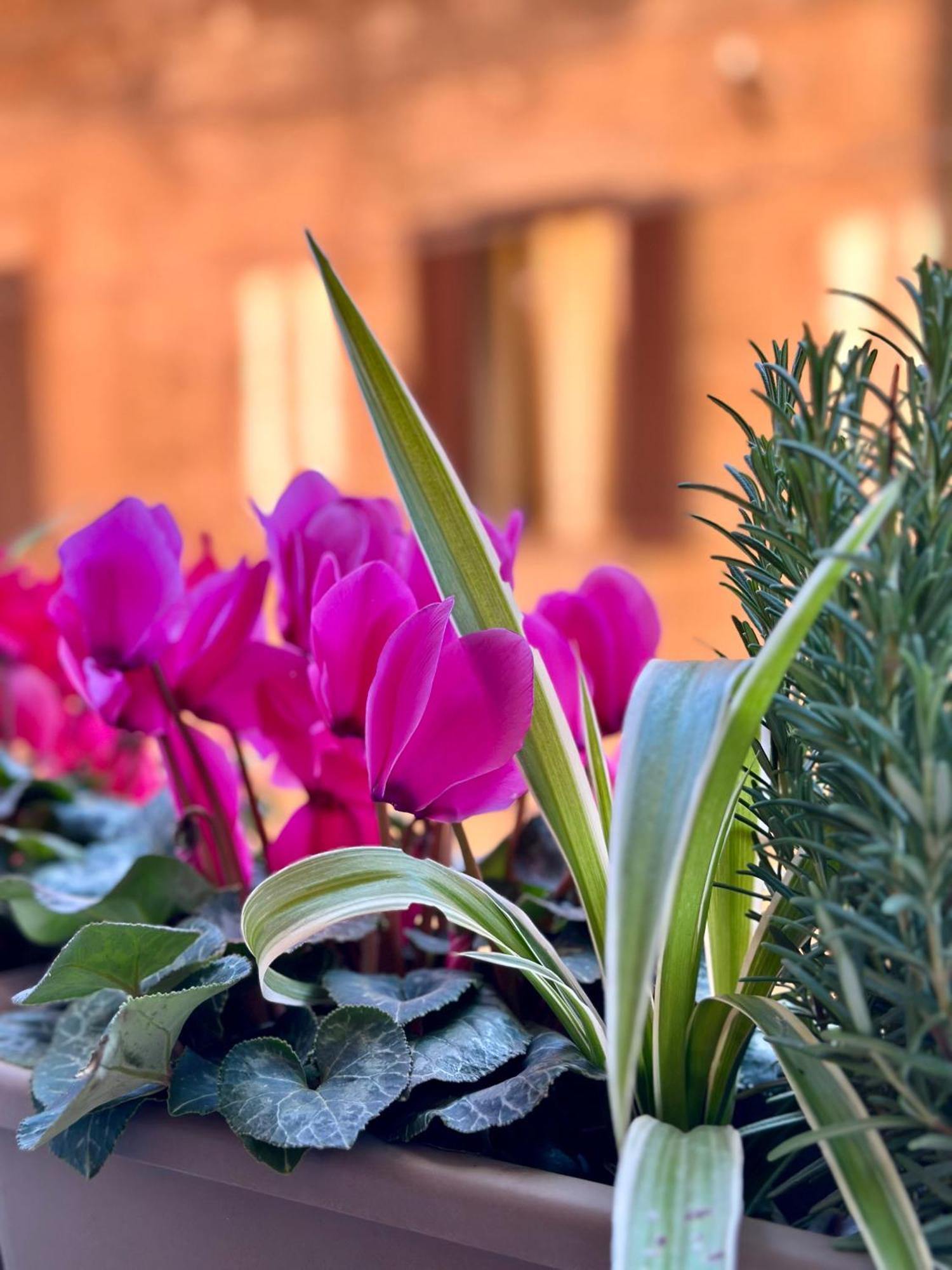 Casa Belfiore Appartamento *