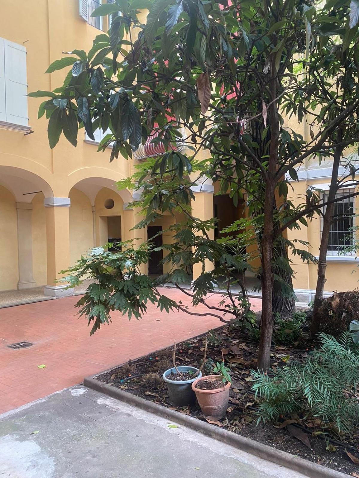Casa Ortelia: In A Historic Building Apartment Bologna