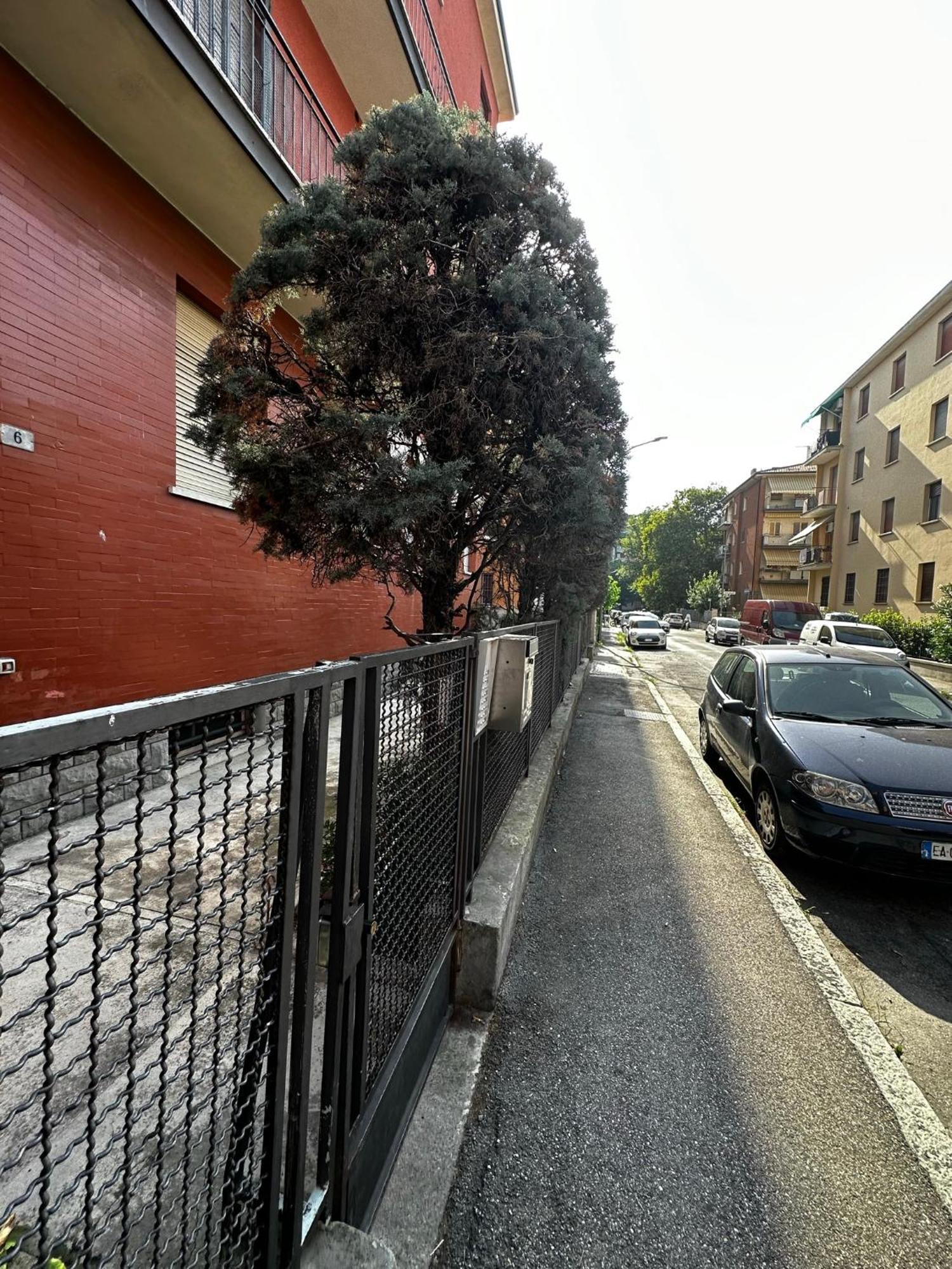Apartment Gemma Whole Bologna
