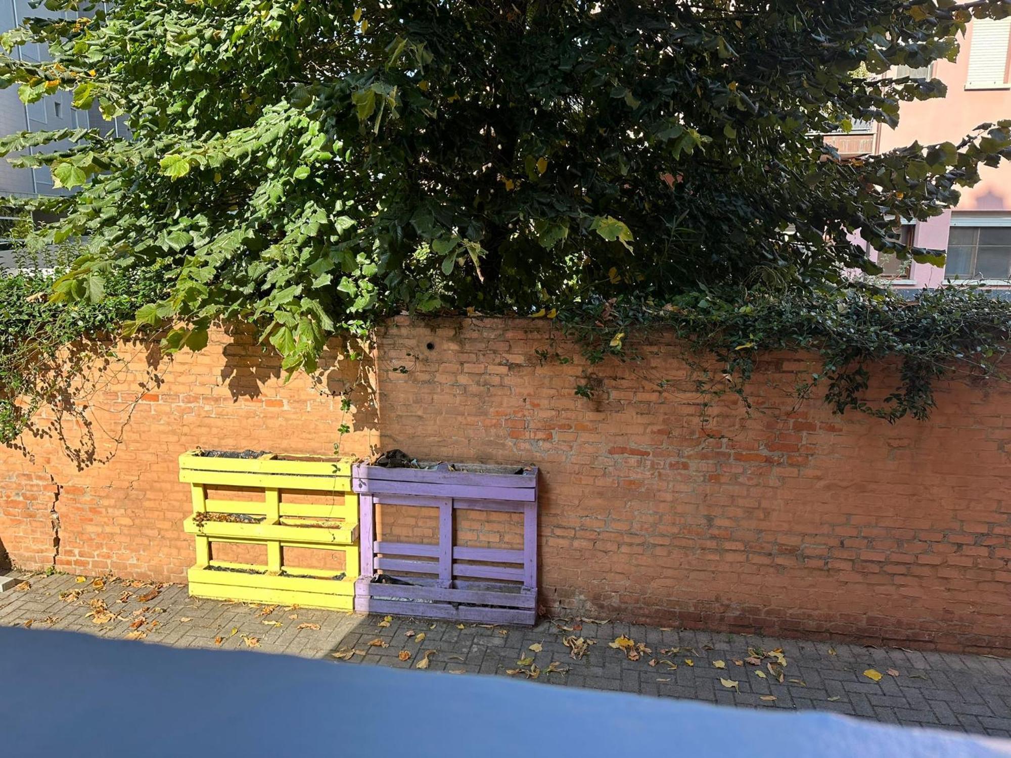 Apartment Casa Meo *