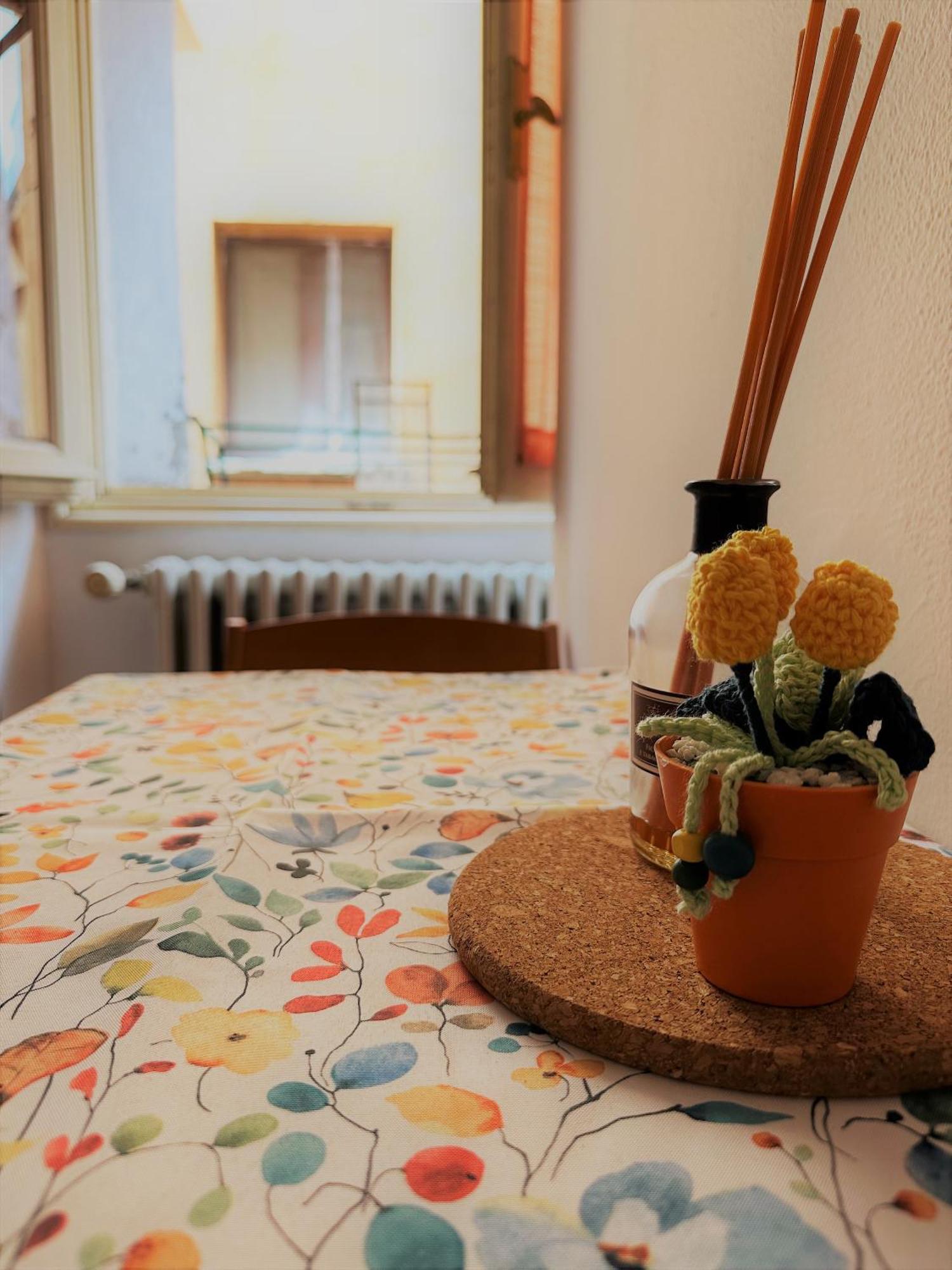 Apartment Cinno *