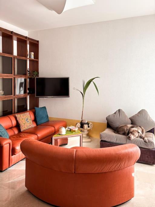 Appartement Giallo Lame *