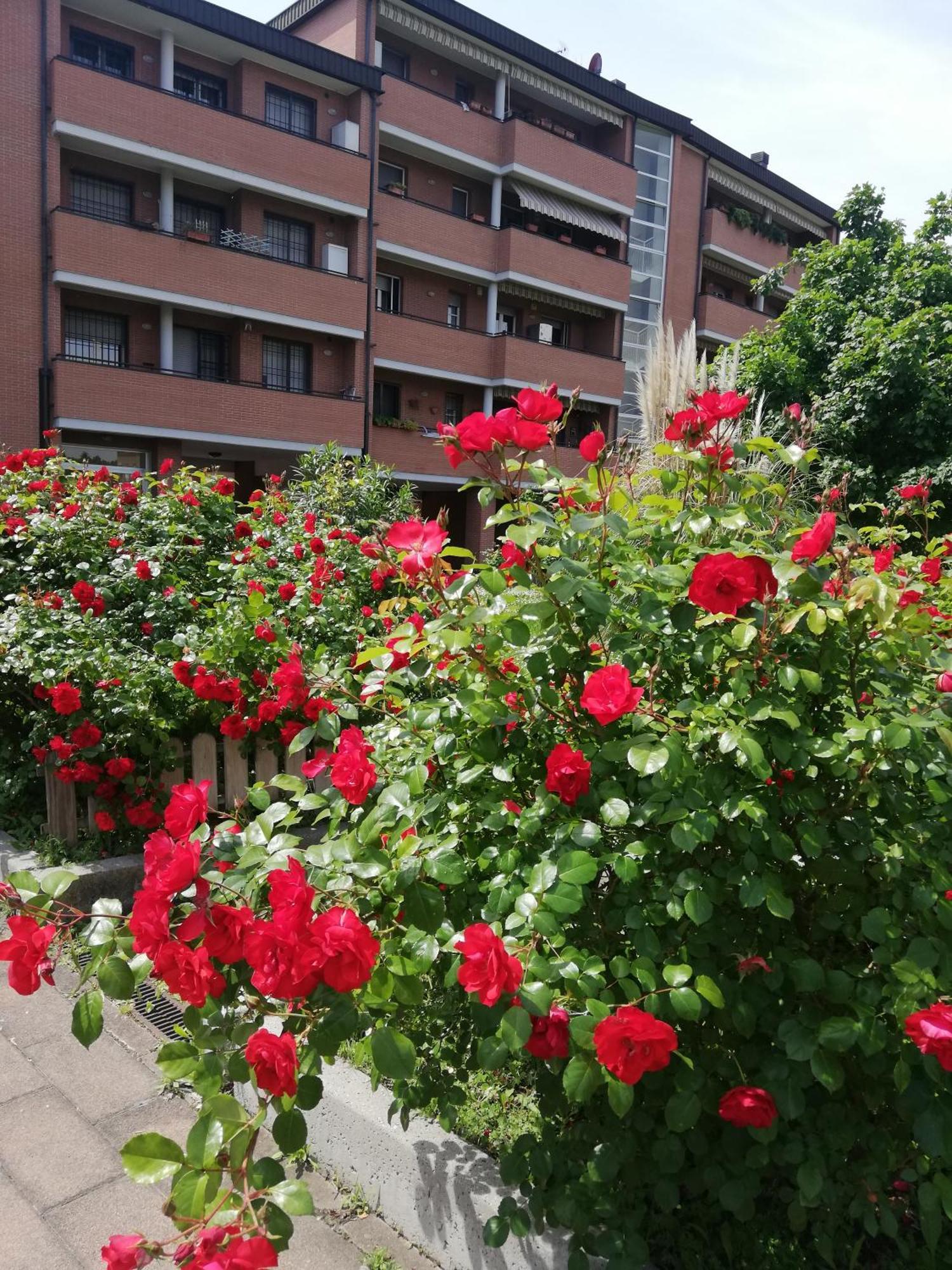 Apartamento Parri 33 Fiera 4+1 Guest Parking On Demand *