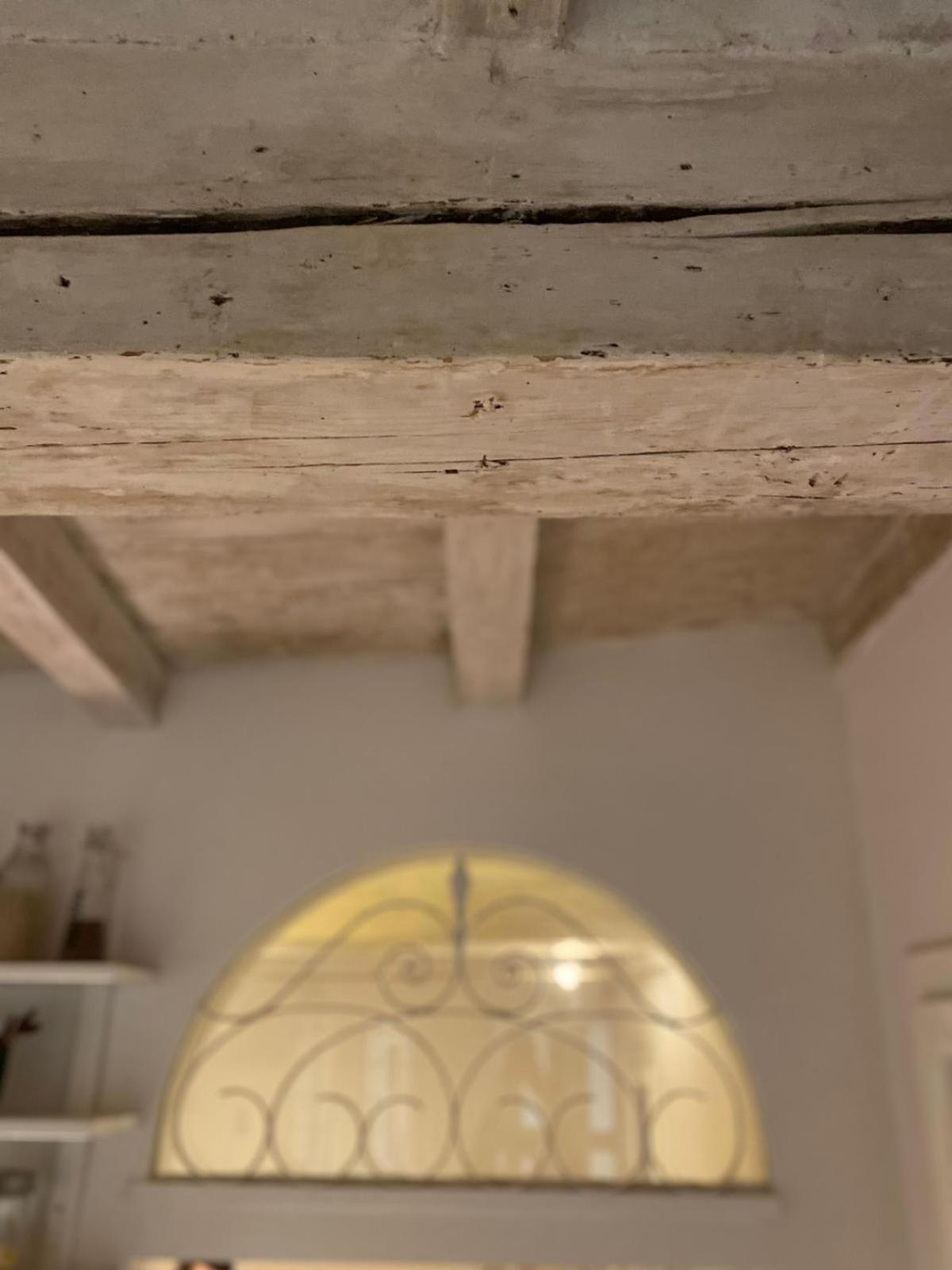 Apartment Casina Centotrecento-romantic & Quite Apartment-