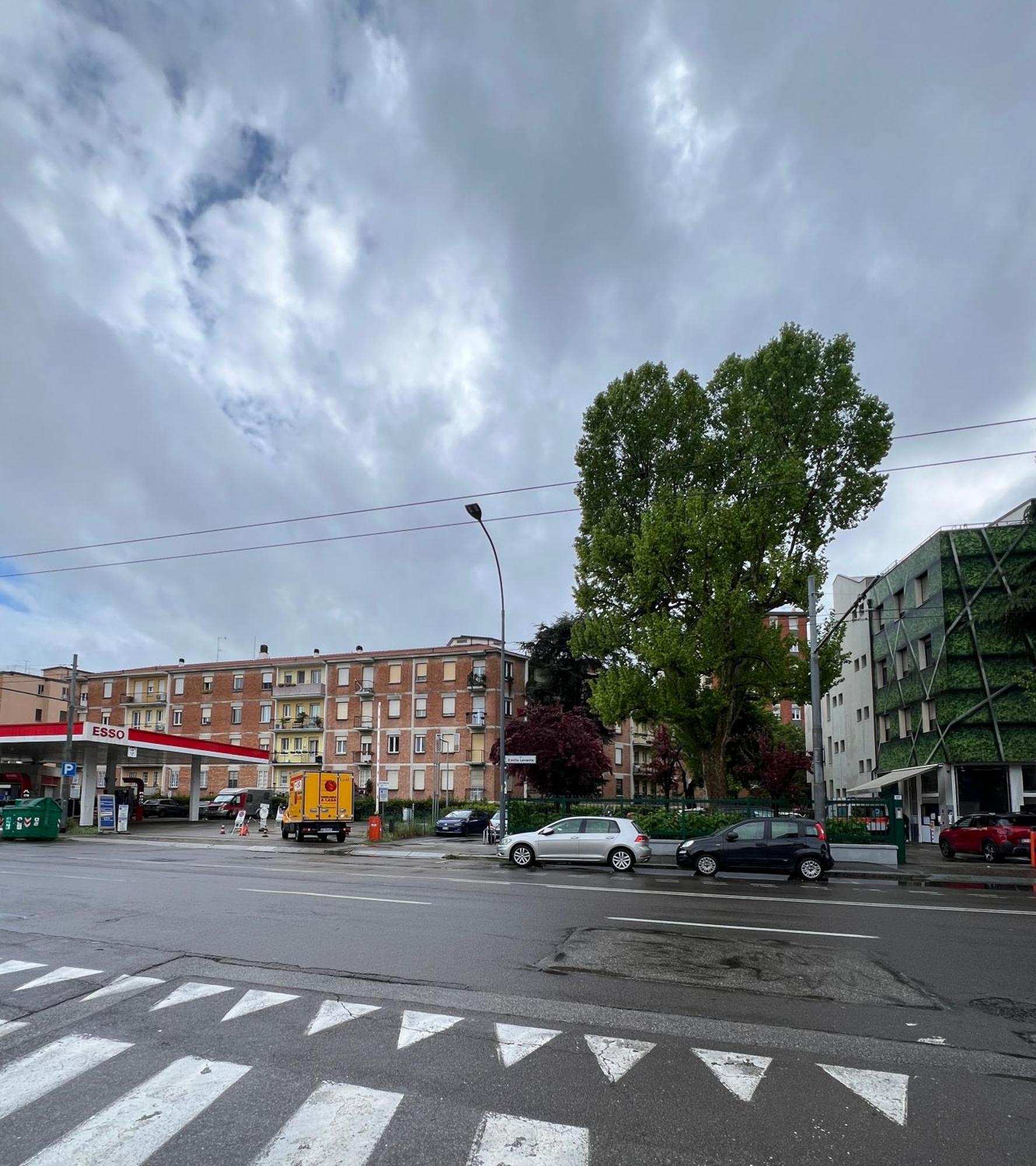Lupo Luxury Bologna