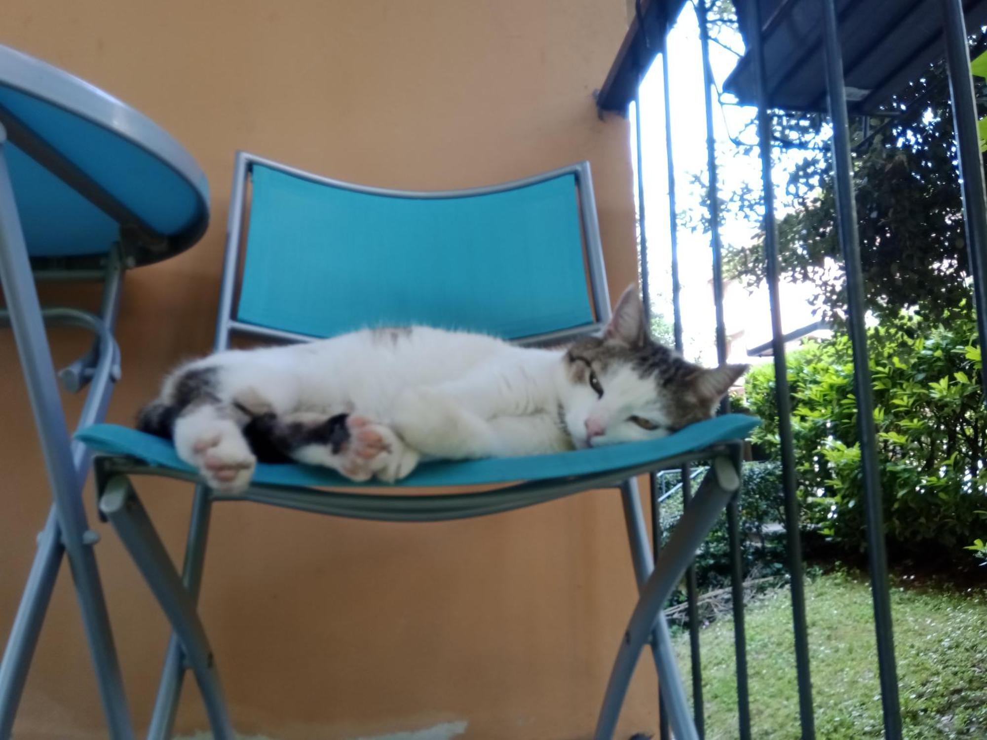 A Casa Di Gemma Guest house *