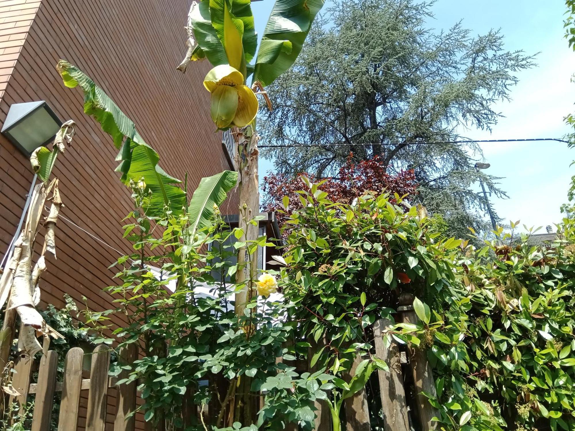 A Casa Di Gemma