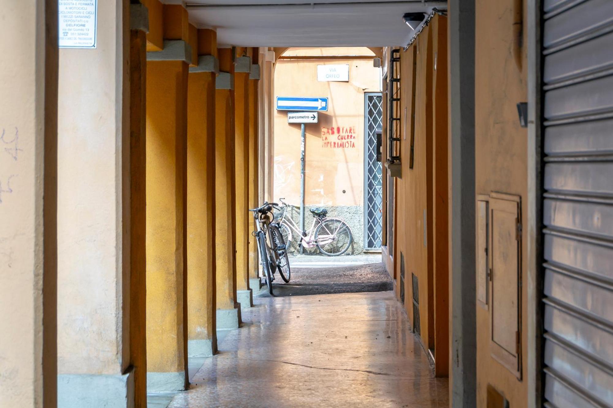 Angeli 10 Bologna