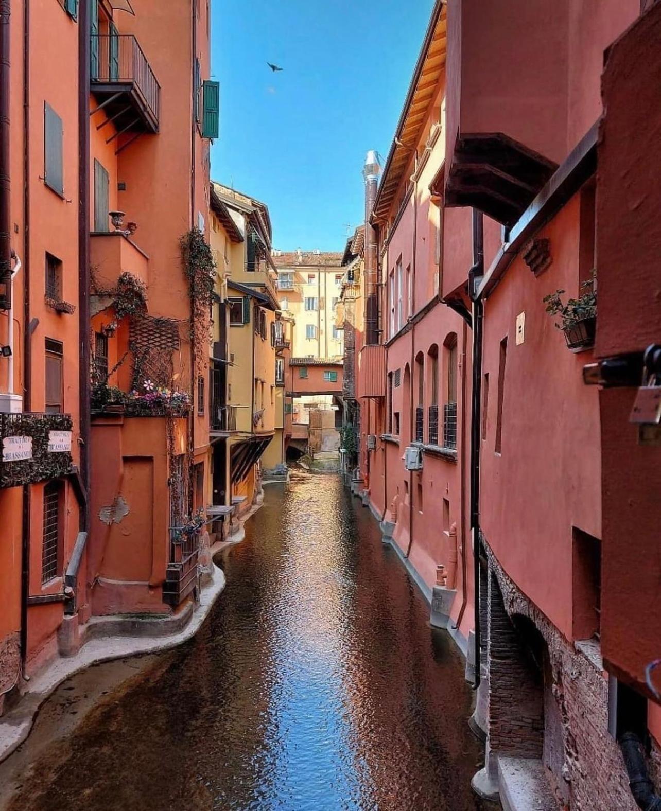 Bolognabyside -righi * Bologna