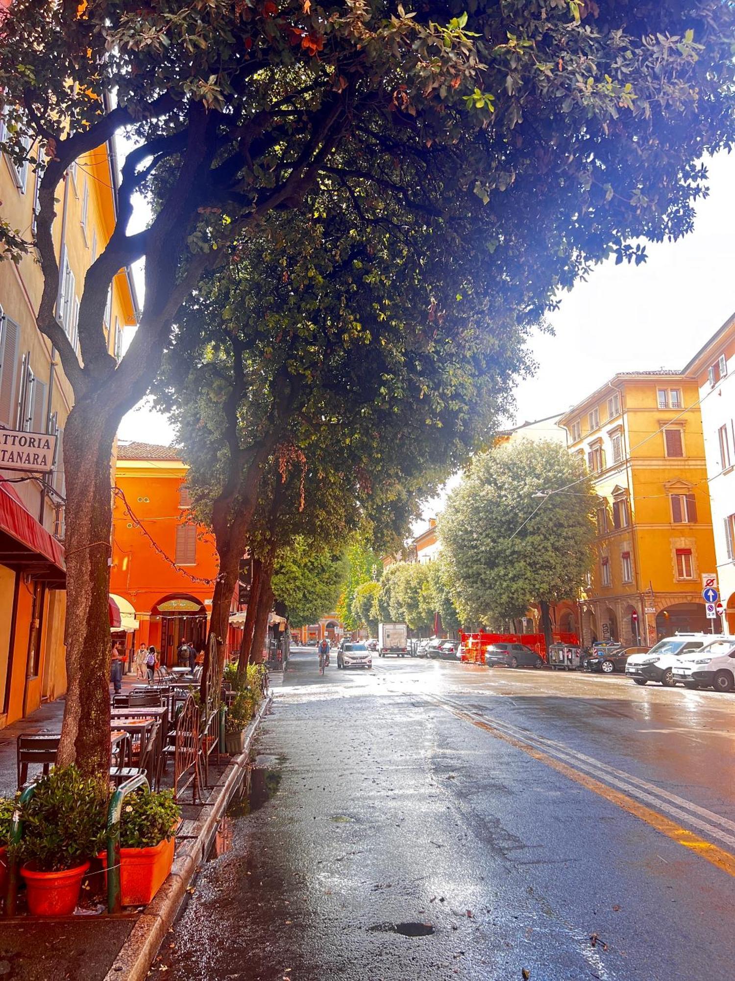 Bolognabyside -righi * Bologna