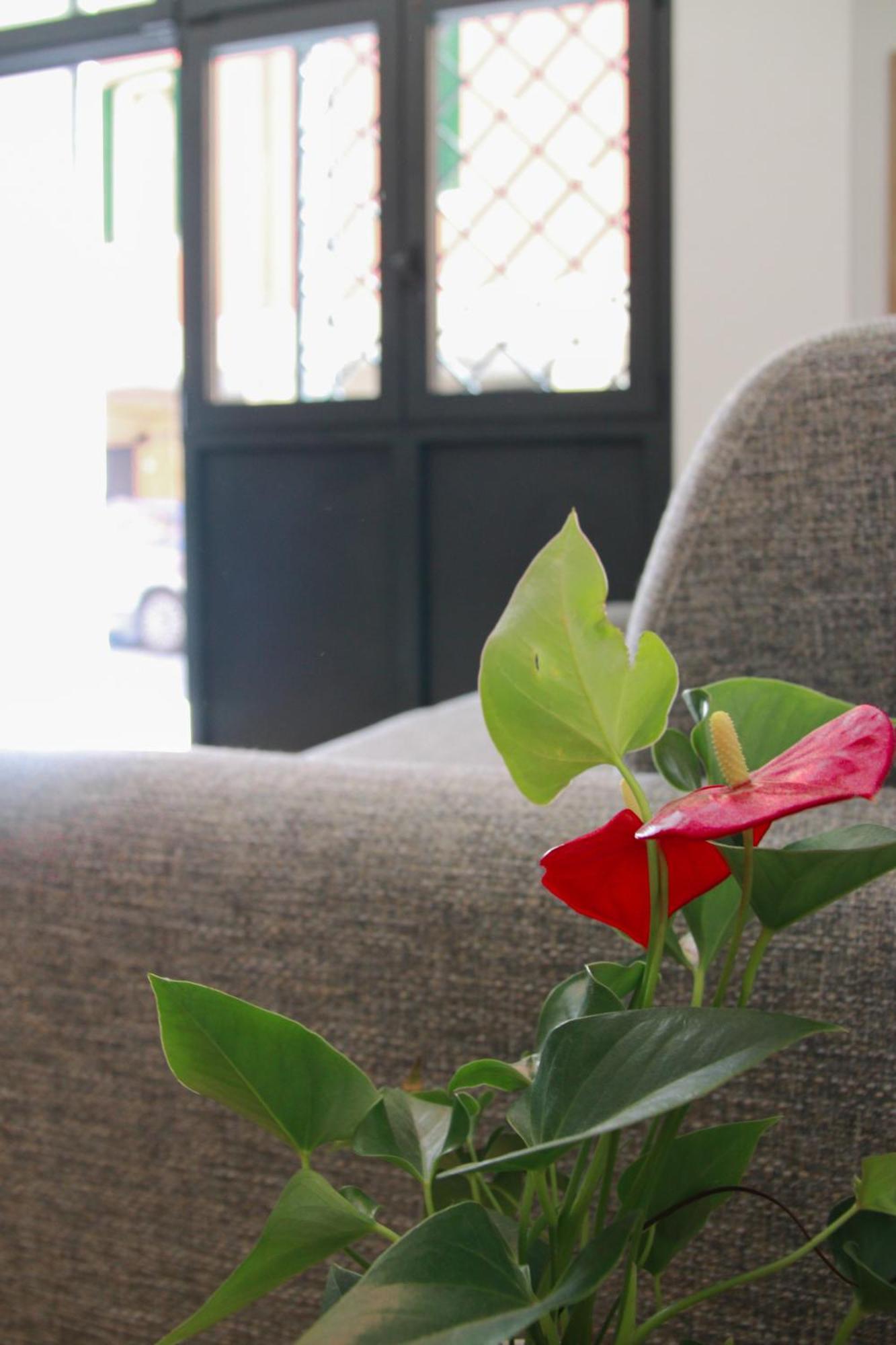 U Zone Apartment *