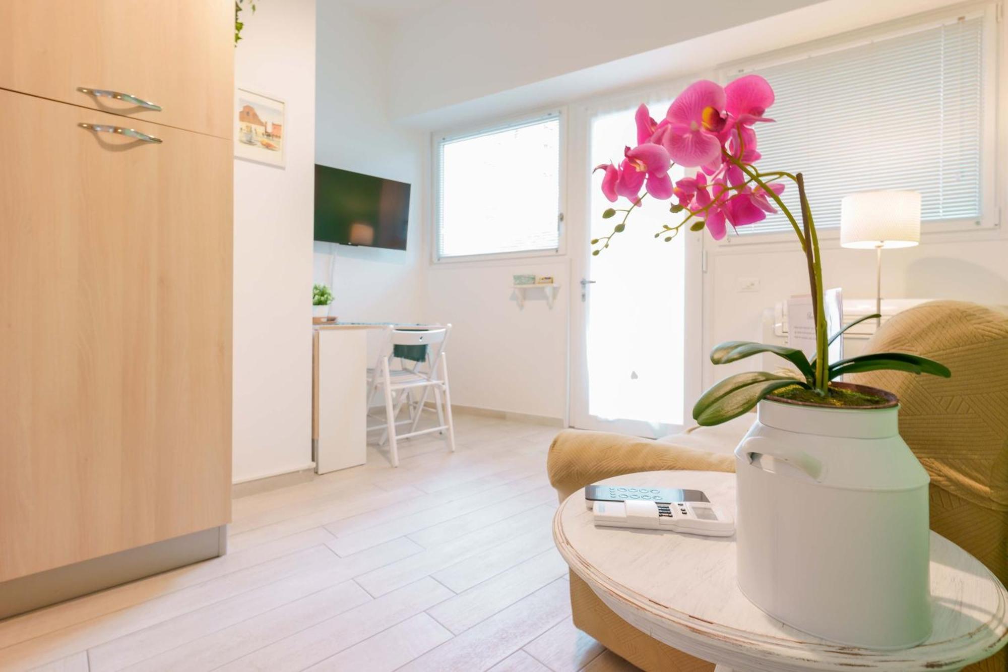 Apartment Clari