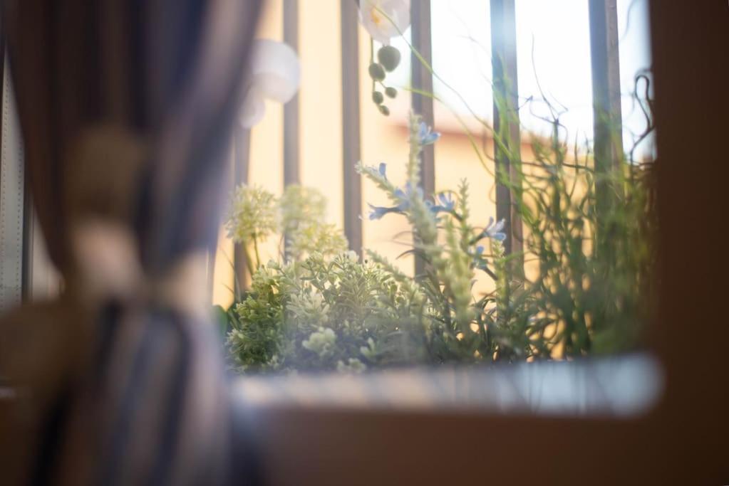 Dreaminbo - Centro Storico, Comfort E Relax * Bologna