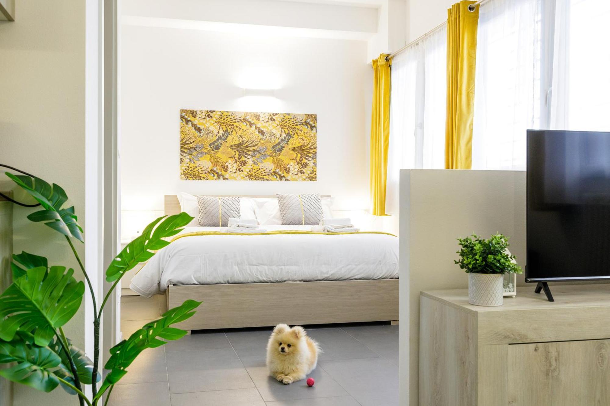 San Felice Aparthotel *